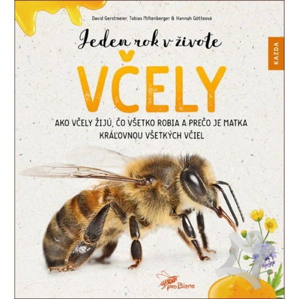 Jeden rok v živote včely