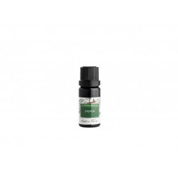 Éterický olej Zázvor 5ml
